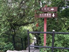 -清境桃源