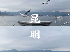 -海埂大坝