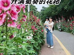 -定鼎门遗址博物馆