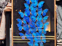 -乐乐餐厅(湘子庙街店)