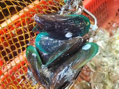 -巽寮印象美食部落餐厅·海鲜·地方特色菜(惠州体验店)