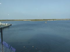 -抱抱地球咖啡馆(国家海洋博物馆店)