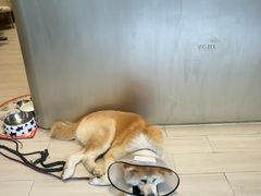 -YCHL Studios健身工作室(市二宫店)