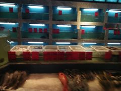 水产区-梅园酒店餐厅(西湖店)