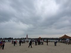 -东郊椰林