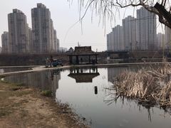 -前关湿地公园