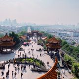 黄鹤楼雪糕被我吃掉啦