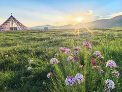 -青海湖国家重点风景名胜区
