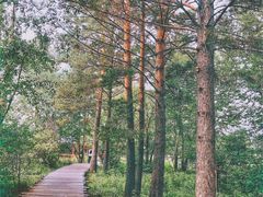 -北极村旅游风景区