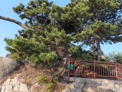 -天津盘山风景名胜区