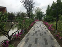 -田园东方蜜桃村的田野营地