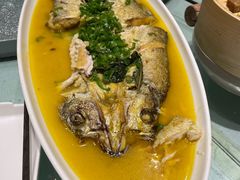 -三强鸽子(中原路店)