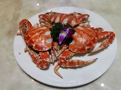 -天宁凯利时尚餐厅