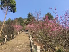 -天台山赤城山景区