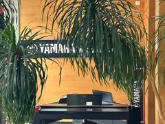 -海音琴行雅马哈钢琴·海伦·施特劳斯(金沙店)