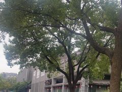 -江宁织造博物馆