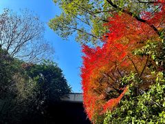 -中国茶叶博物馆(双峰馆区)