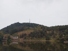 -广州市石门国家森林公园