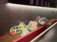 -肆月河豚·新淮扬菜·烤鸭(中关村店)