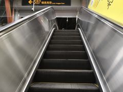 -杨高南路(地铁站)