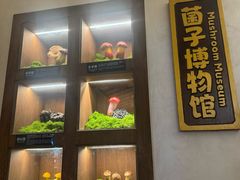 -菌自由丨野生菌火锅特色庭院餐厅(丽江古城店)