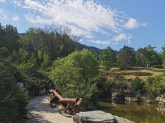 -北京西山国家森林公园