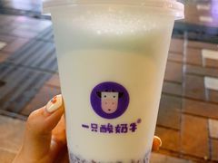 -一只酸奶牛(八一路店)