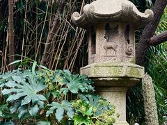 -复旦大学附属华山医院(总院)