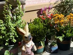 -后海16号·北京私房菜