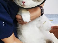 -萌兽医馆·绝育·24小时内科·宠物医院(德胜店)