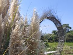 -嘉北郊野公园