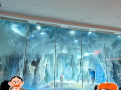 -帝企鹅自助餐厅•儿童岛•真企鹅(长隆企鹅酒店)