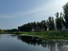 -白洋淀景区
