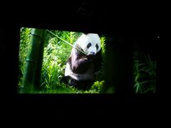 -太平洋影城(深圳8号仓店)