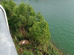 -郑东新区龙湖公共艺术中心