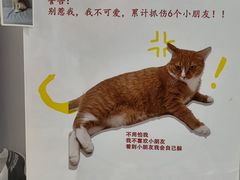 -Best U照相馆证件照·外拍(五角场店)