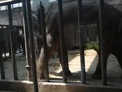 -石家庄市动物园