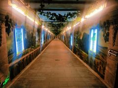 -青岛葡萄酒博物馆