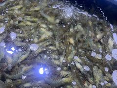 -聚盛源蒸汽海鲜火锅烤肉自助(巨川金海岸购物广场店)