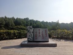 -大亚湾红树林城市湿地公园
