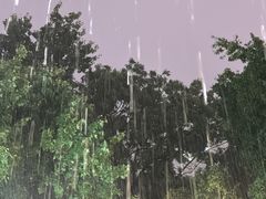 -蔼若春.传承三十年云南菜(金碧公园店)