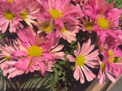 -半秋山西餐厅(巴南万达广场店)