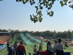 -北京鹿世界主题园