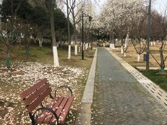 -月湖风景区
