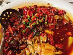 馋嘴蛙-峨嵋酒家(牡丹园店)