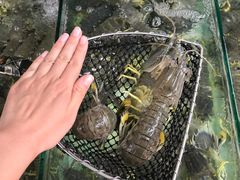 -拉威海鲜市场