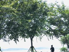 -东湖落雁景区