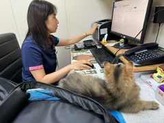 -美联众合爱康动物医院•复杂内科•肿瘤科•牙科•腔镜诊疗中心
