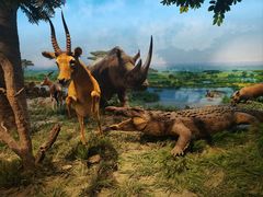 -国家自然博物馆