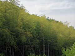 -峙山公园